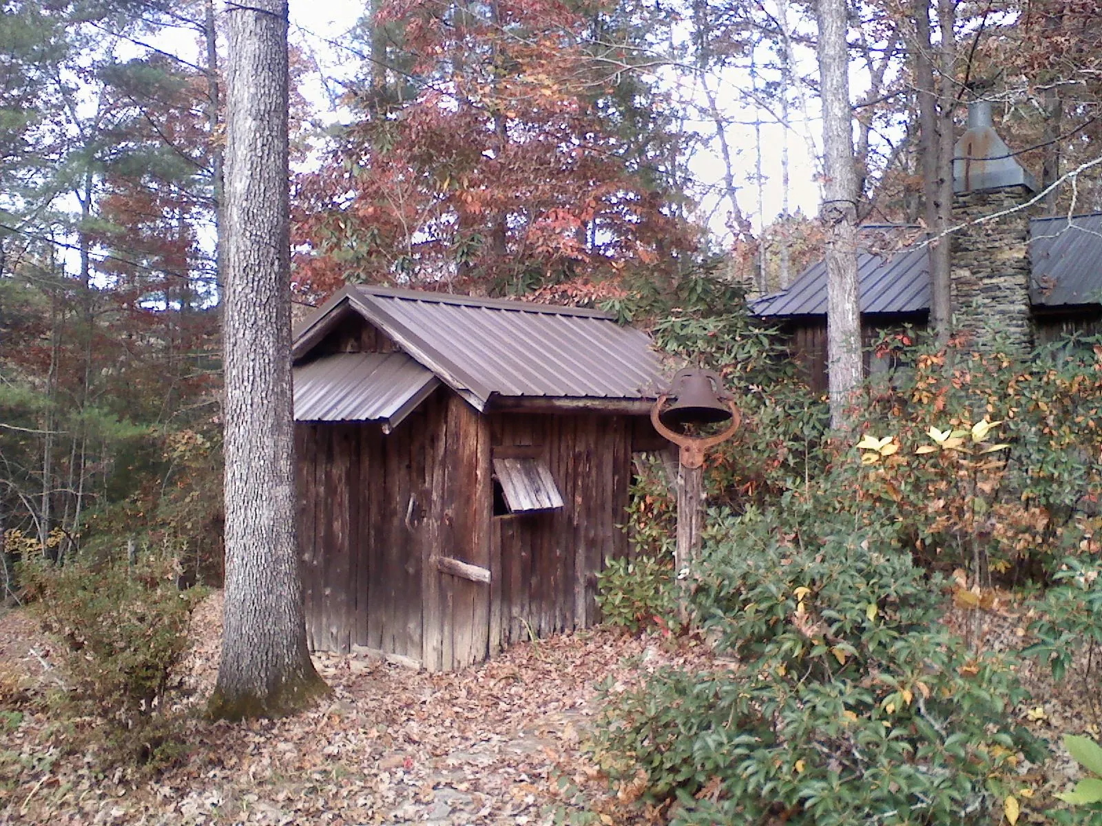 Small metal roof on a rough sawn shed in the woods in Kent